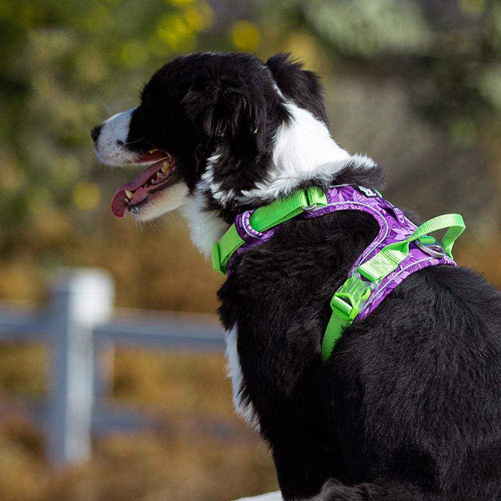 Reflective Camouflage Dog Harness with Aluminium Buckle