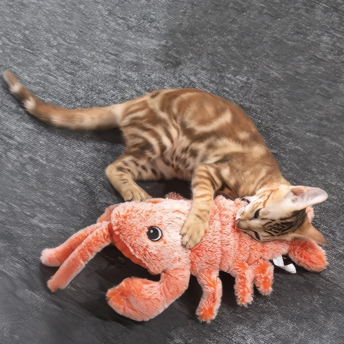 USB-Rechargeable Plush Lobster Cat Toy
