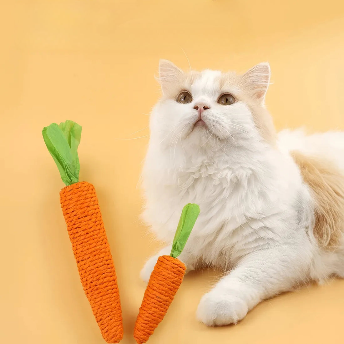 Interactive Carrot Cat Toy with Bell