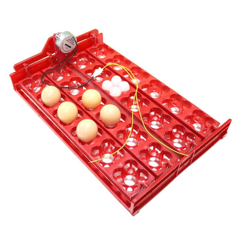 24-Egg Incubator Turning Tray and Motor Options