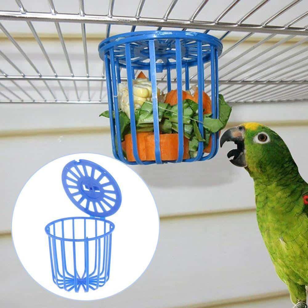 Bird's Cage Design Feeder