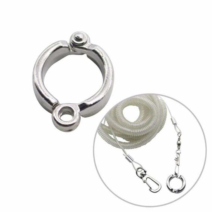 Bird's Leg Rings Set for Outdoor Flying - Trendha