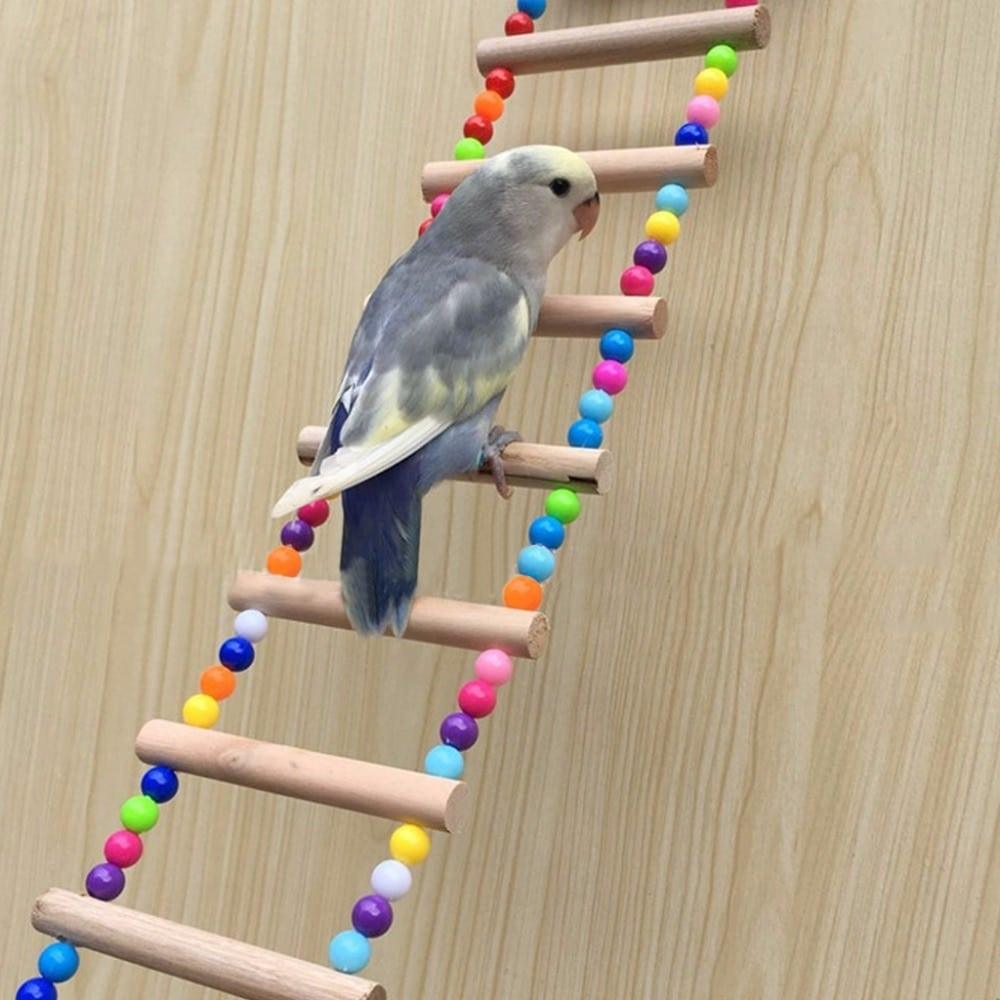 Bird's Wooden Rainbow Ladder