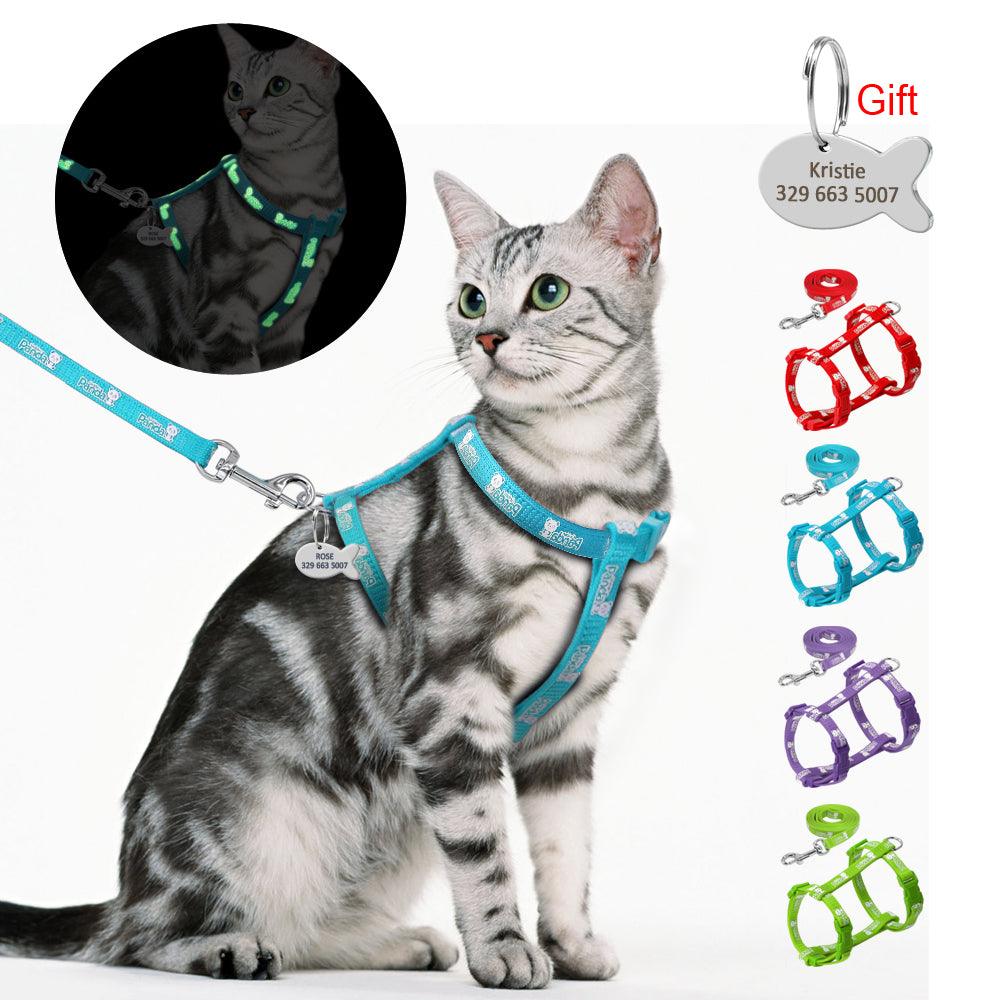 Cat's Luminous Harness And Leash Set