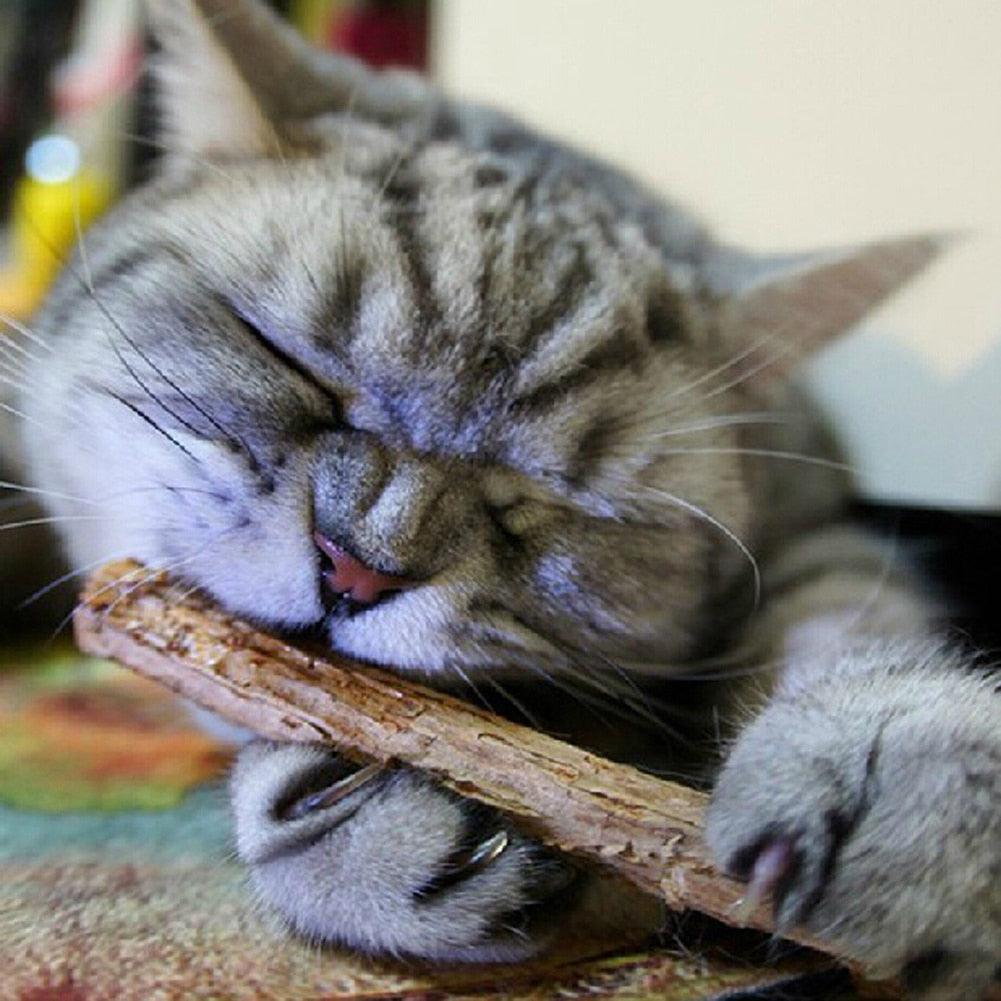 Catnip Teeth Brushing Sticks for Cat