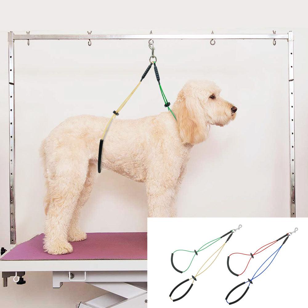 Colorful Strap for Pet Grooming Table