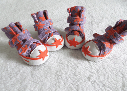 Dog Boots with Star Print