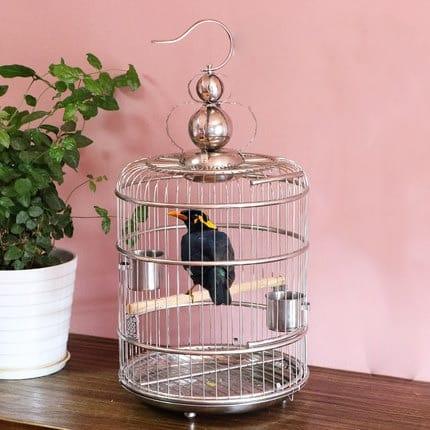 Large Vintage Stainless Steel Bird Cage - Trendha