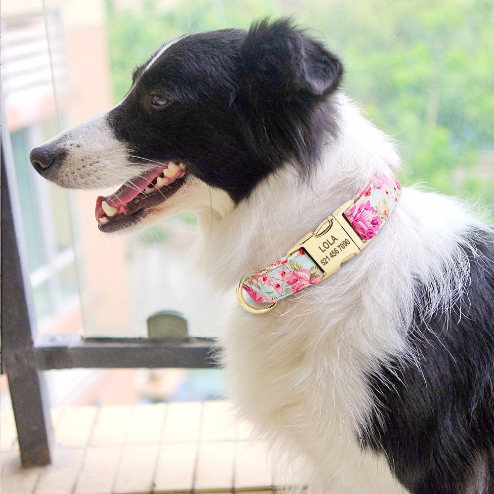 Nylon Engraved Nameplate Collar - Trendha