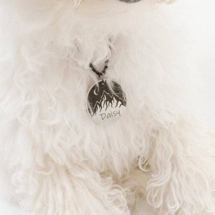 Personalized Engraved Round Dog ID Tag - Trendha