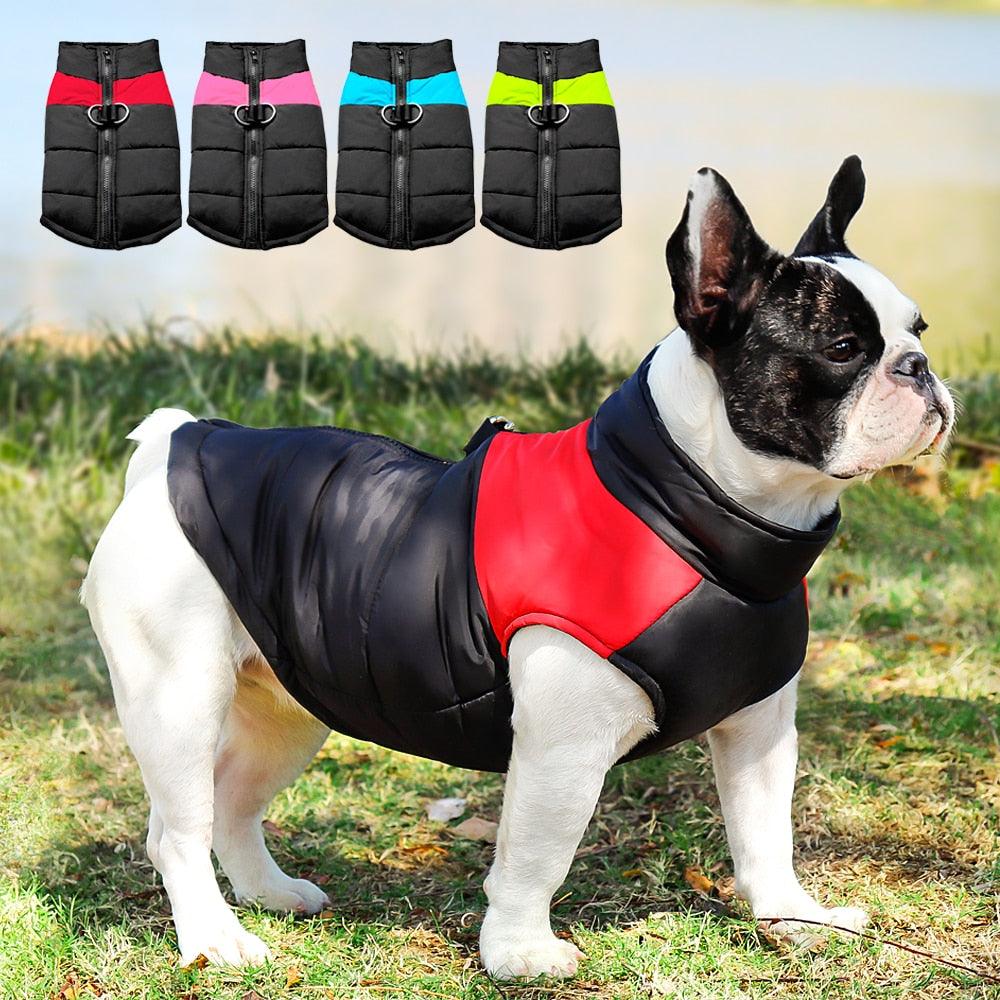 Waterproof Winter Jacket For Dogs