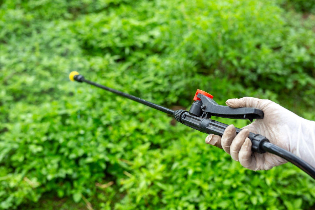 Effective Pest Control Products: Your Ultimate Guide to a Pest-Free Home - Trendha