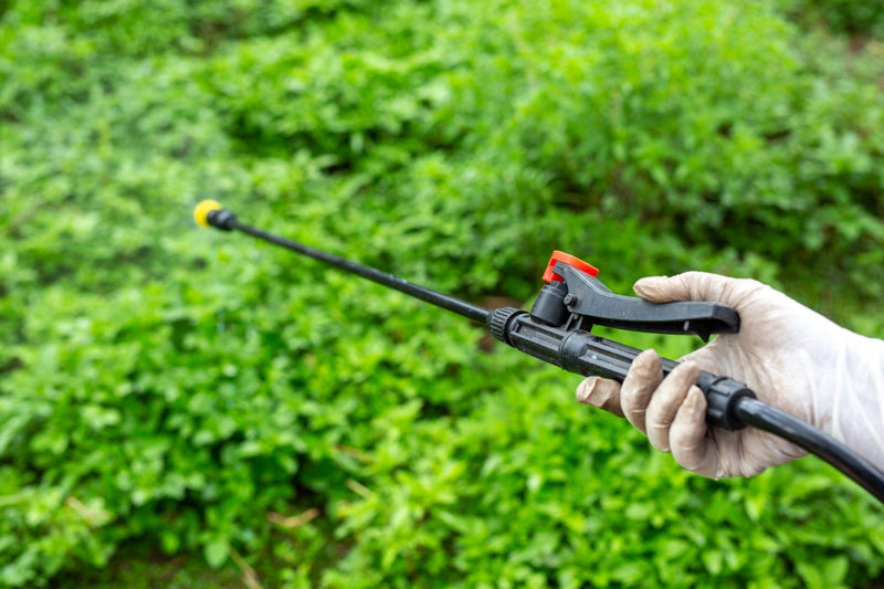 Effective Pest Control Products: Your Ultimate Guide to a Pest-Free Home - Trendha