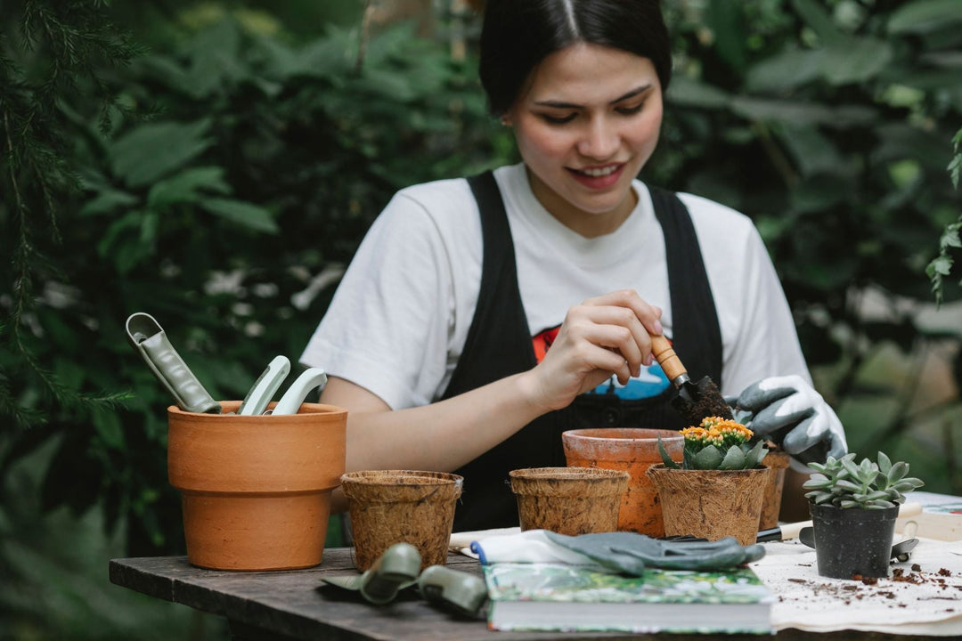 Heat-Resistant Gardening: Choosing Plants and Tools for Extreme Summers
