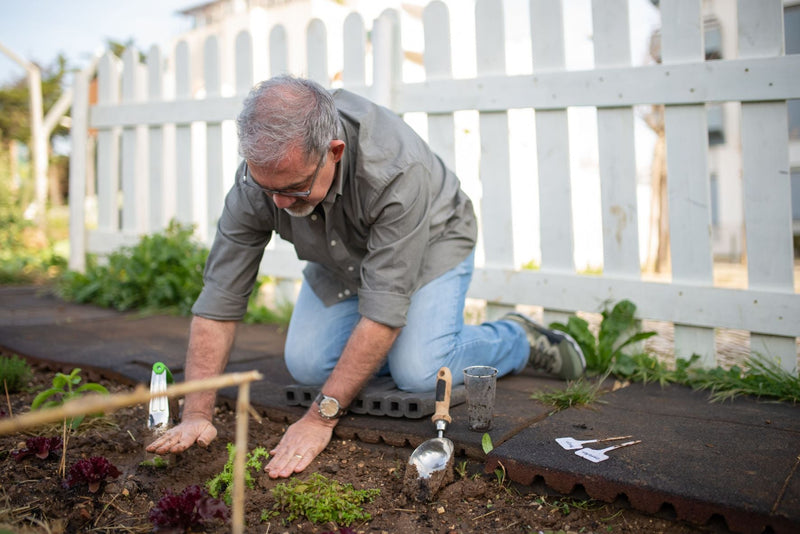 Soil Moisture Meters: When They Help and When Your Finger Is Enough