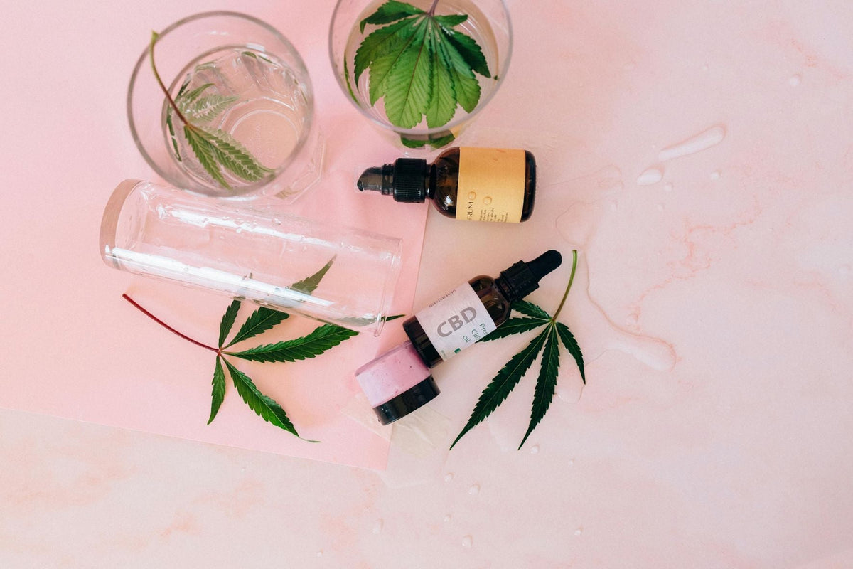 The Ultimate Guide to Natural Beauty Products and Why They Matter