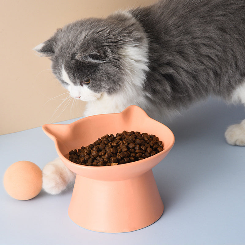 Elevated Ceramic Cat Bowl