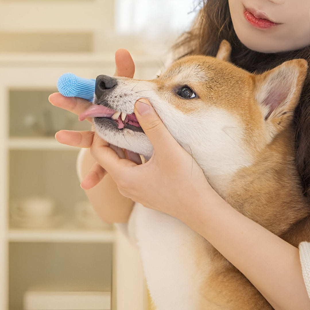 Super Soft Pet Finger Toothbrush