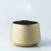 color: Gold