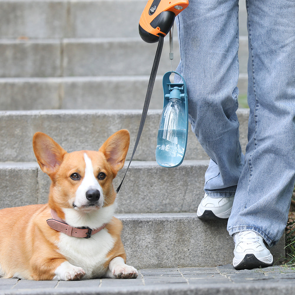 Portable Dog Water Bottle