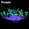 color: Purple and Green