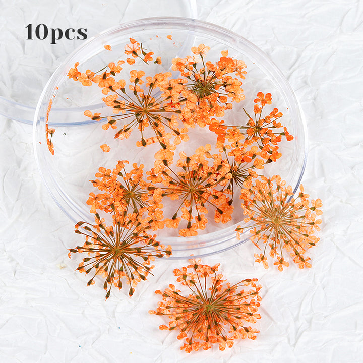 3D Dried Flower Nail Art Decorations Set