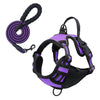 color: Purple