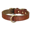 color: Brown