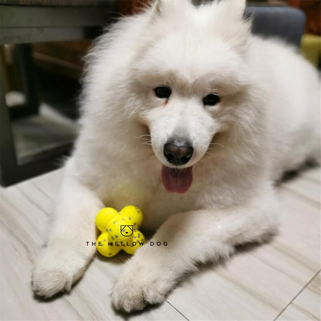 The Mellow Dog Calming Ball Mellow Dog Tennis Ball, Mellow Dog Emotional Support Ball