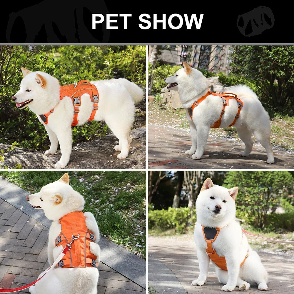 Reflective Nylon Dog Harness