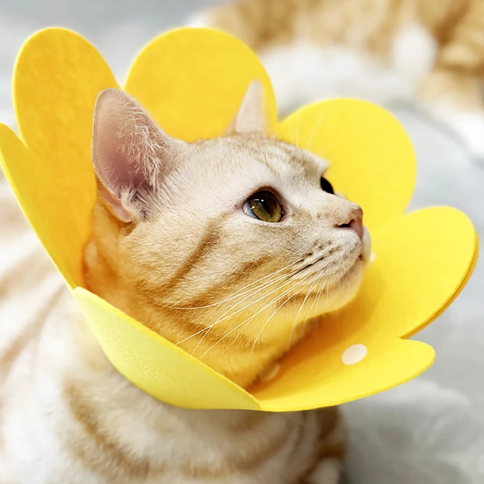 Yellow Flower-Shaped Felt Pet Recovery Collar
