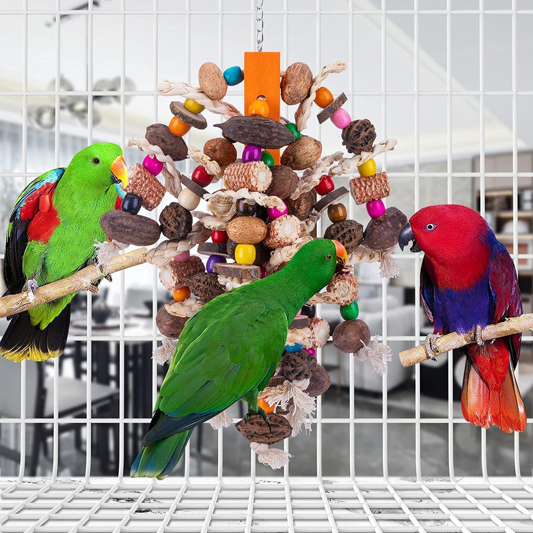 Large Parrots Nibbling On Toy Fruit Skewers