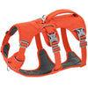 color: Orange