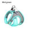 color: Mint Green