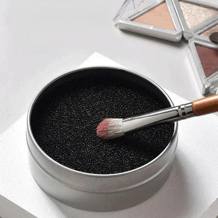 Quick Cleaning Eyeshadow Brush Sponge Box