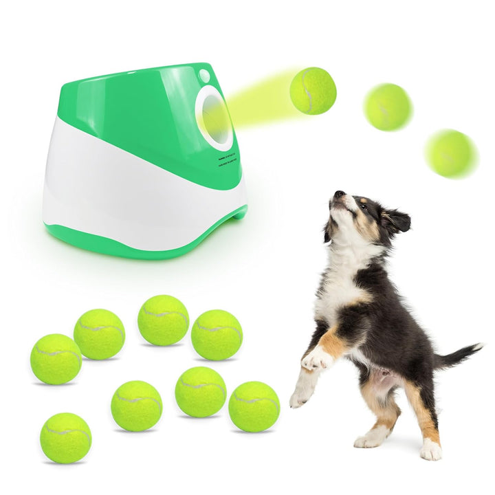 Automatic Dog Tennis Launcher