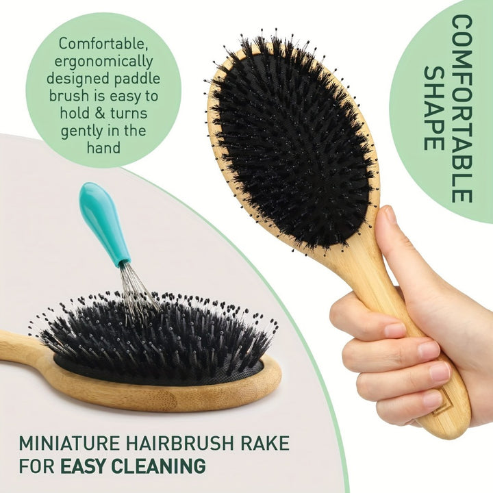 Natural Boar Bristle Hair Brush for Scalp Massage and Detangling