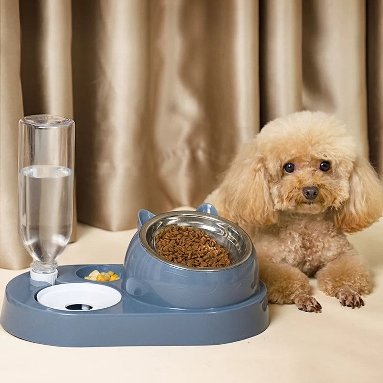 16° Tilted Stainless Steel Cat and Small Dog Feeder & Water Dispenser