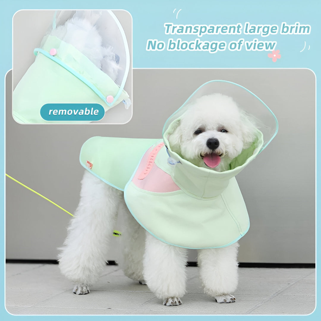 Dogs Rainy Day Cape Poncho