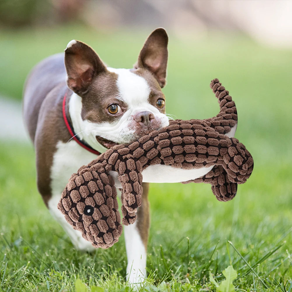 Bite-Resistant Plush Squeaky Dog Toy