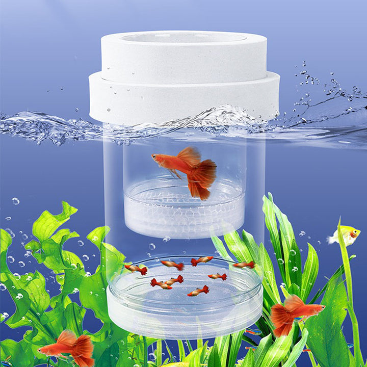 Suspension Aquarium Breeding Box