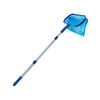 color: Blue