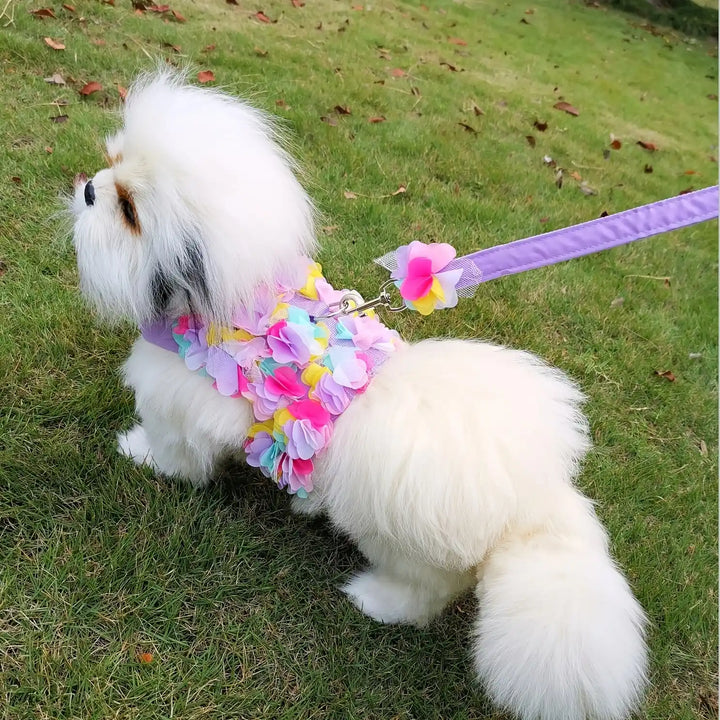 Floral Dog Harness and Leash Set - Stylish and Comfortable Pet Accessories