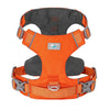 color: Orange