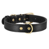 color: Black