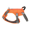 color: Orange