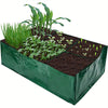 color: Green