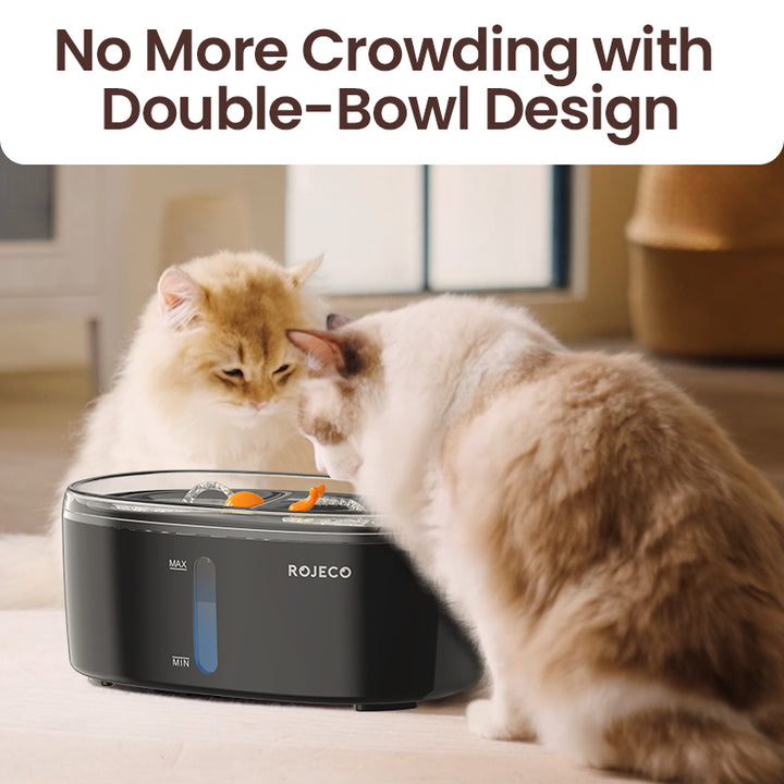 Automatic Pet Water Fountain with Double Bowl