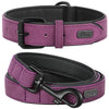 color: Purple