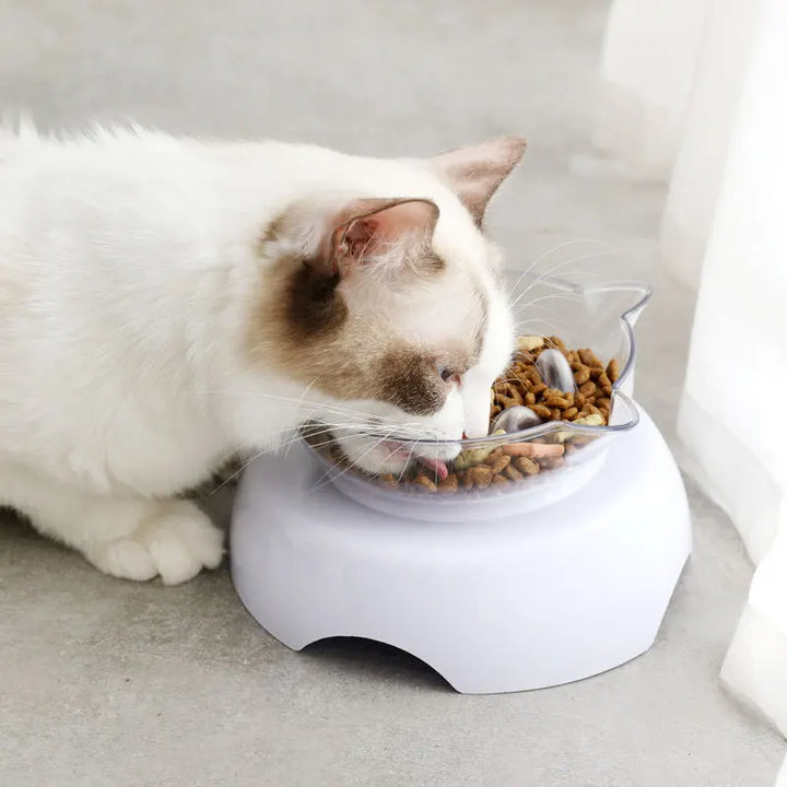 15 Degree Tilt Anti-Suffocate Cat Slow Feeder with Raised Stand